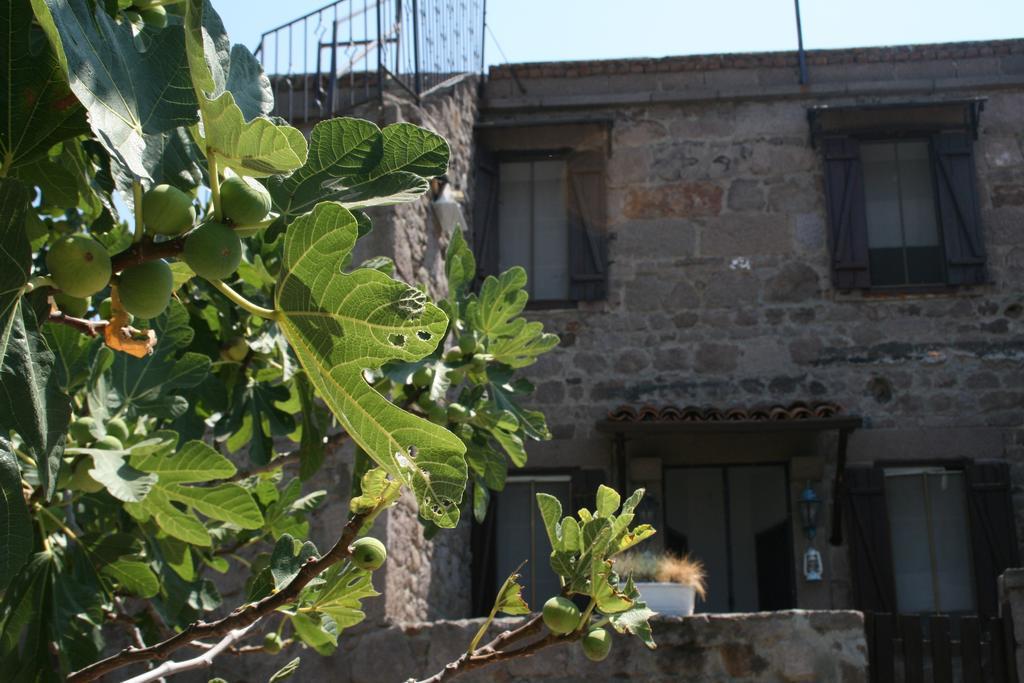 Assos Bohemian Hotel Экстерьер фото